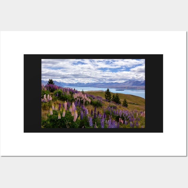 The Hills Are Alive with the Colours of Lupins Wall Art by krepsher